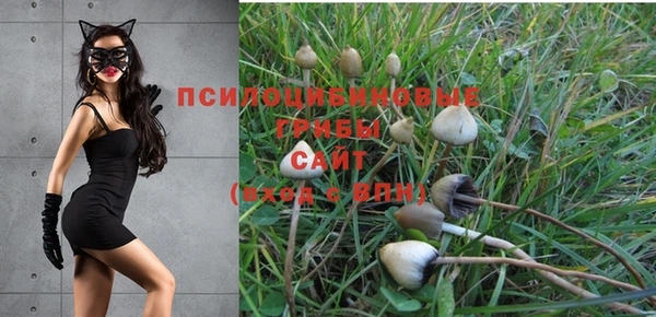 ALPHA PVP Арсеньев